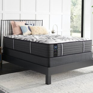 Sealy posturepedic artesia hd deals king mattress